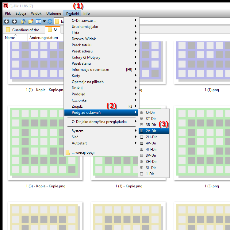 Co to jest widok 2V Dir w Q Dir Quad File Explorer